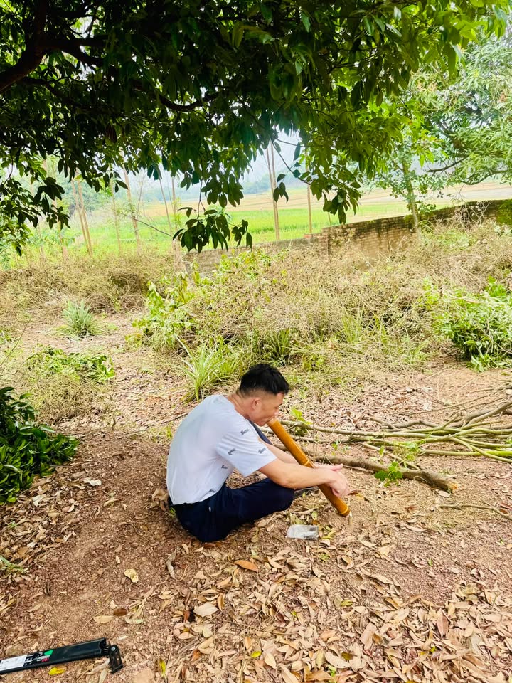 Đất nền Lục Nam 293m² giá hơn 2 tỷ - Tiềm năng tăng giá vượt trội!