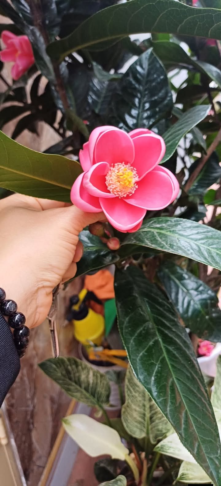 Nhà Trọ Trần Hưng Đạo, Nam Định - Full Nội Thất, Sẵn Sàng Vào Ở!