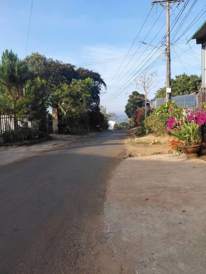 Đất nền Nguyễn Chí Thanh, Bảo Lâm 315m² - Sổ đỏ chính chủ!