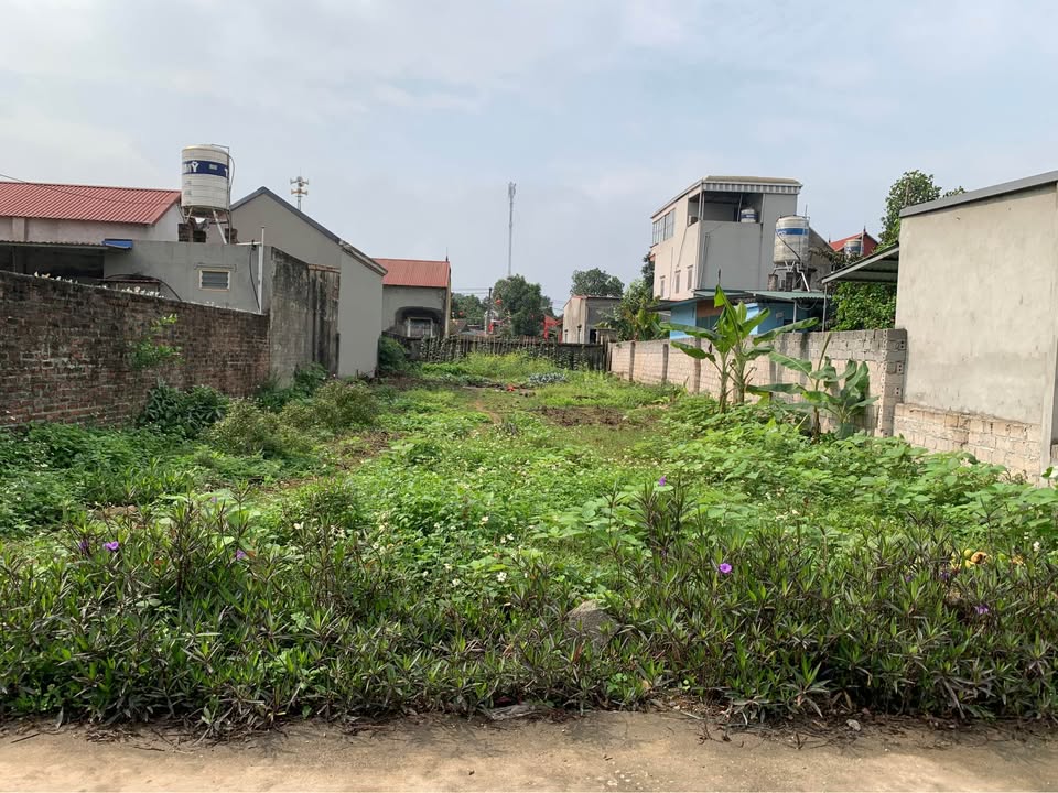 Đất nền Xuân Mai 335m² - Sổ đỏ sẵn sàng, 2 ô tô tránh nhau