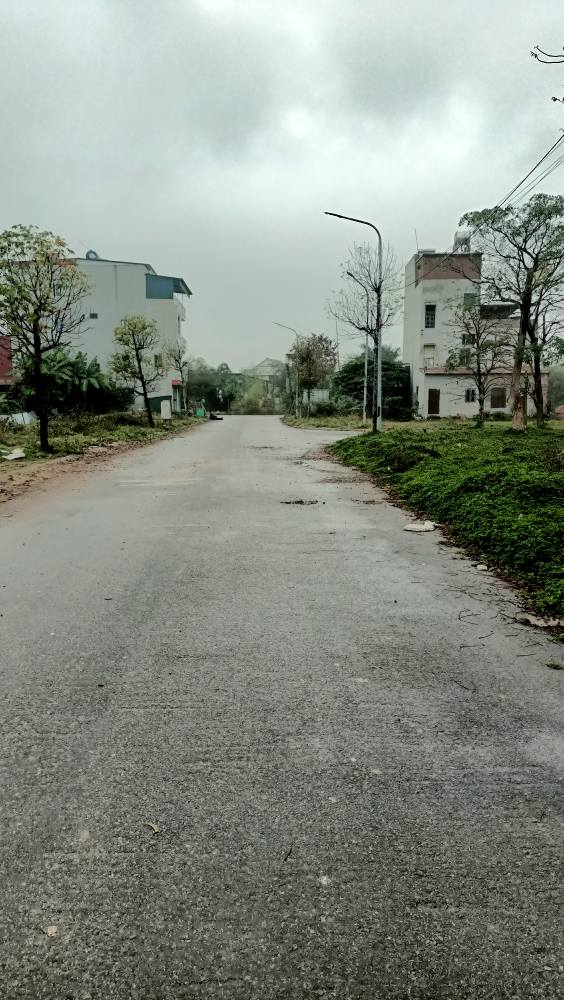 Đất nền Dự án Tam Đa Yên Phong 100m² - Đầu tư sinh lời 2.3 tỷ