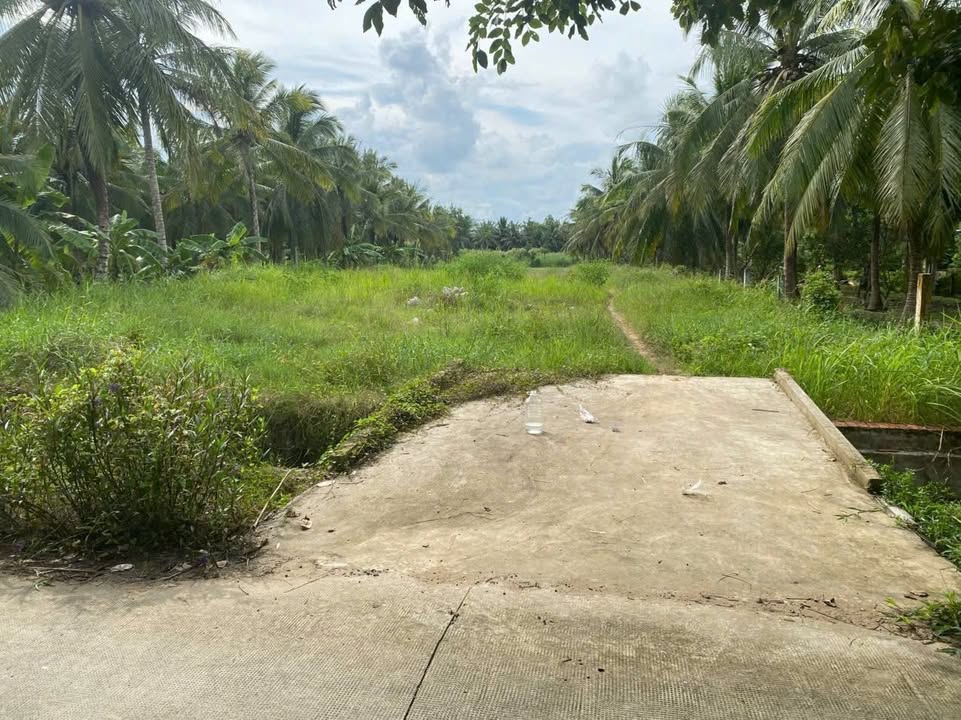 Đất nền Phú Nhuận, Bến Tre 4445m² - Quy hoạch đất ở, nở hậu đẹp!