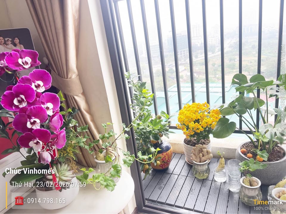 Chung cư Athome Thanh Hóa 64m² - Sổ hồng sẵn, bàn giao ngay!