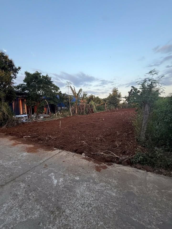 Đất nền BMT 155m² Hướng Tây - Giá Tốt Đầu Tư 950 Triệu