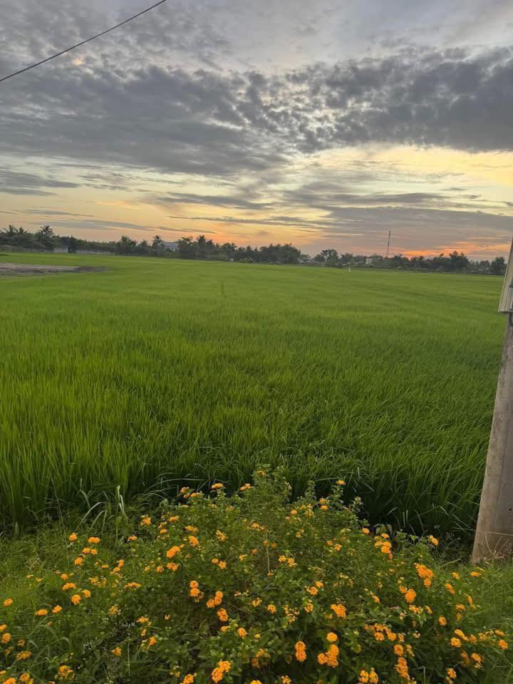 Đất nền Gia Đông, Thuận Thành 2100m² giá 10.5 tỷ - Sổ đỏ chính chủ