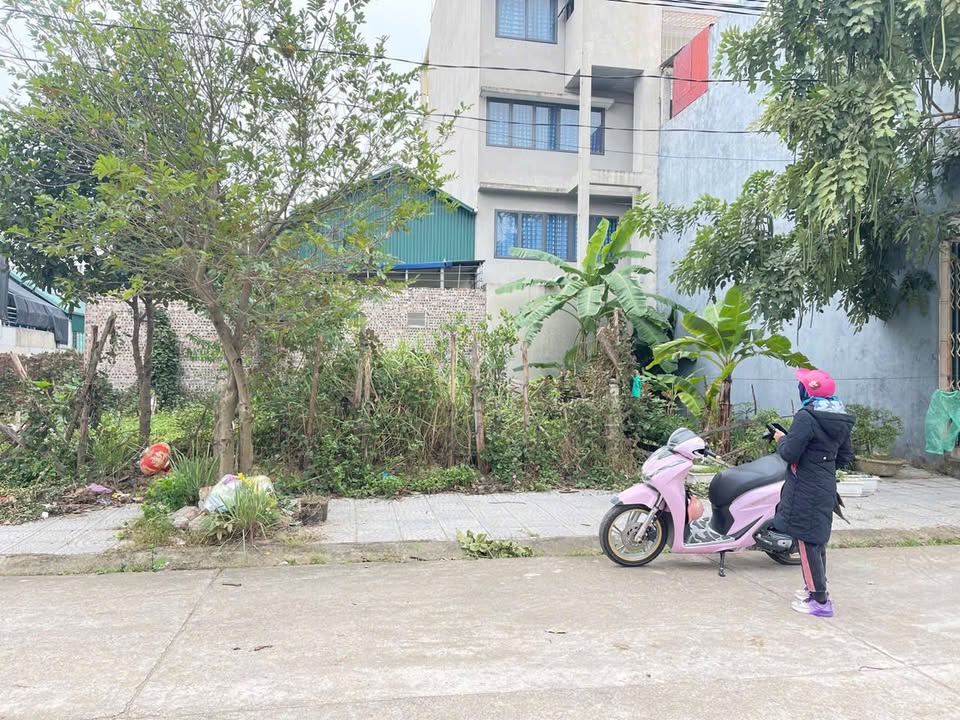 Đất nền Xuân Hòa, Phúc Yên 50m² - Xây dựng tự do, sinh lời ngay!