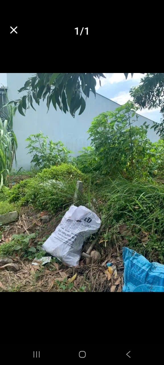 Đất Thị trấn Long Hồ 75m² giá 300 triệu - Sổ đỏ chính chủ