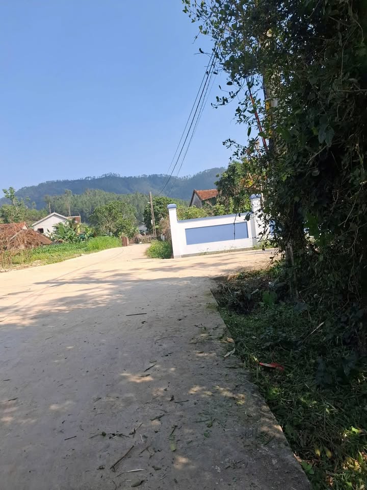 Đất Nền Nam Đàn 124m² - Sổ Đỏ Vuông Vắn, Giá 1.2 Tỷ