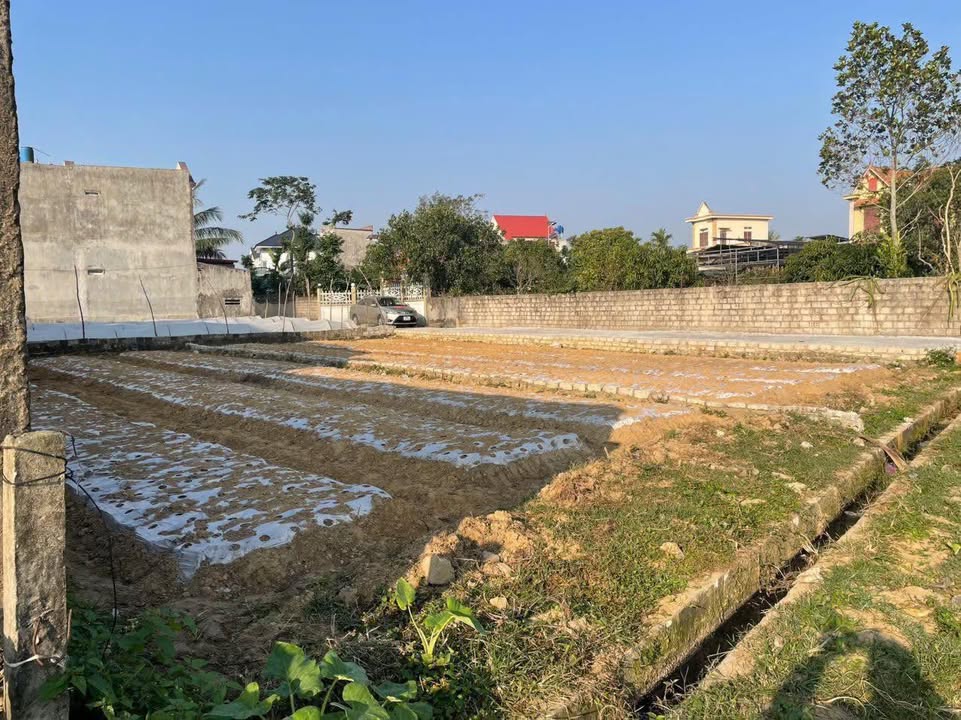 Đất nền Quang Sơn, Hậu Lộc 320m² - Xây dựng tự do, tiềm năng vượt trội!