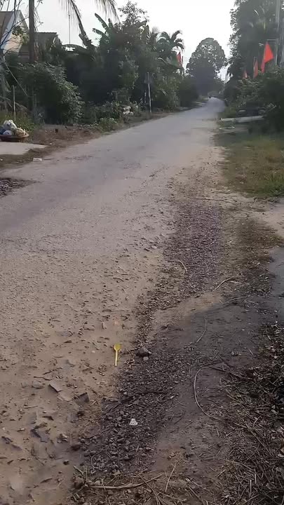 Nhà Mặt Tiền Bàu Mây, Gò Dầu, Tây Ninh - 250m² Kinh Doanh Sầm Uất