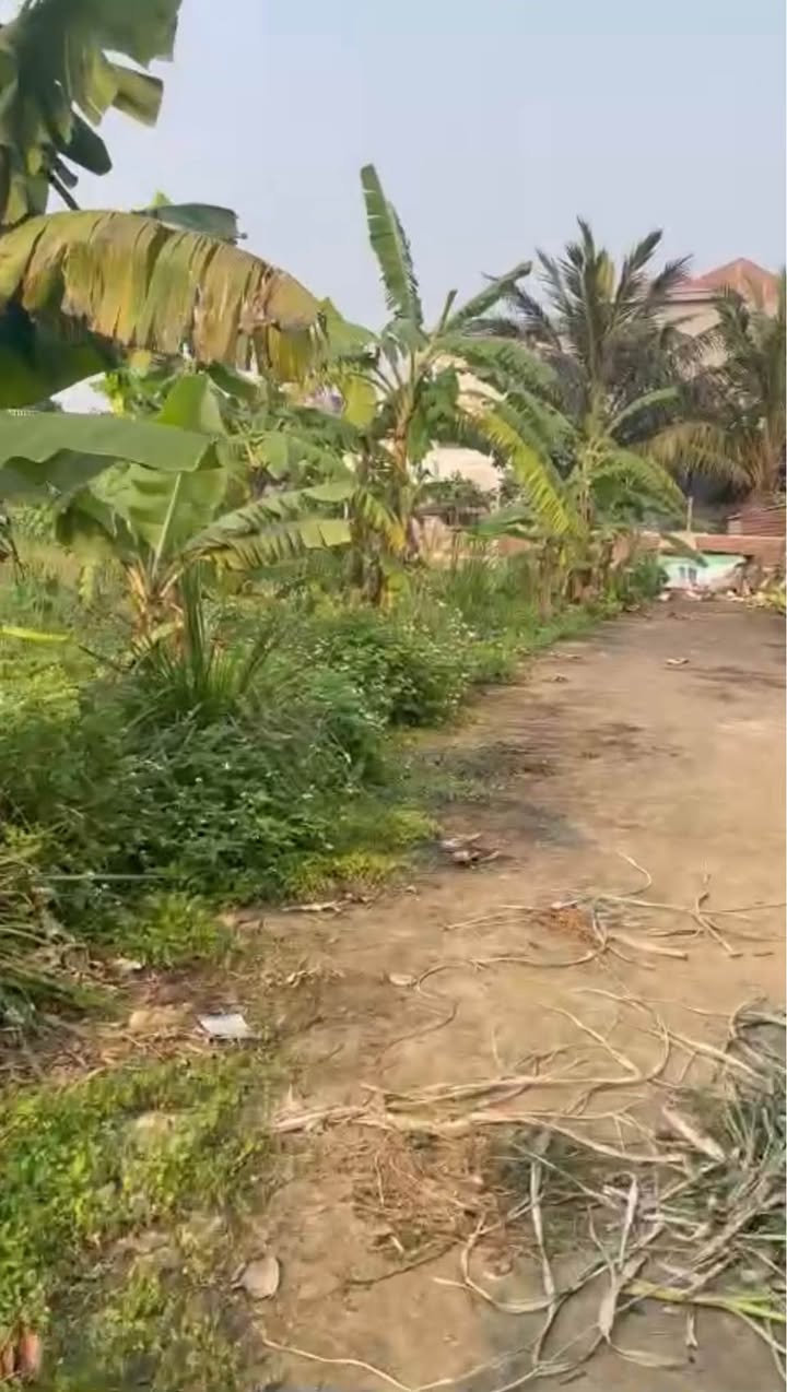 Đất nền Minh Hòa Hưng Hà 90m² - Sổ đỏ chính chủ giá đầu tư cực tốt