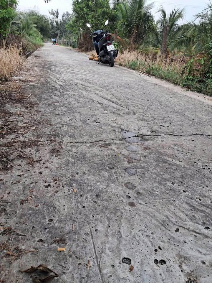 Đất vườn Châu Thành Long An 1460m² giá 1.45 tỷ - Nghỉ dưỡng lý tưởng!