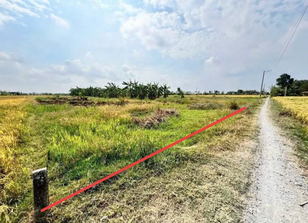 Đất nền Tân Trụ Long An 1000m² chỉ 780 triệu - Tiềm năng tăng giá vượt trội!