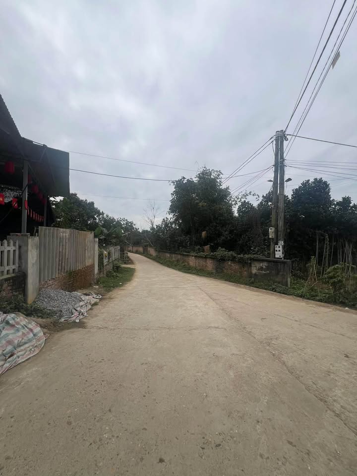 Bán đất 200m² Tuyên Quang - Full thổ cư, ô tô vào tận nơi