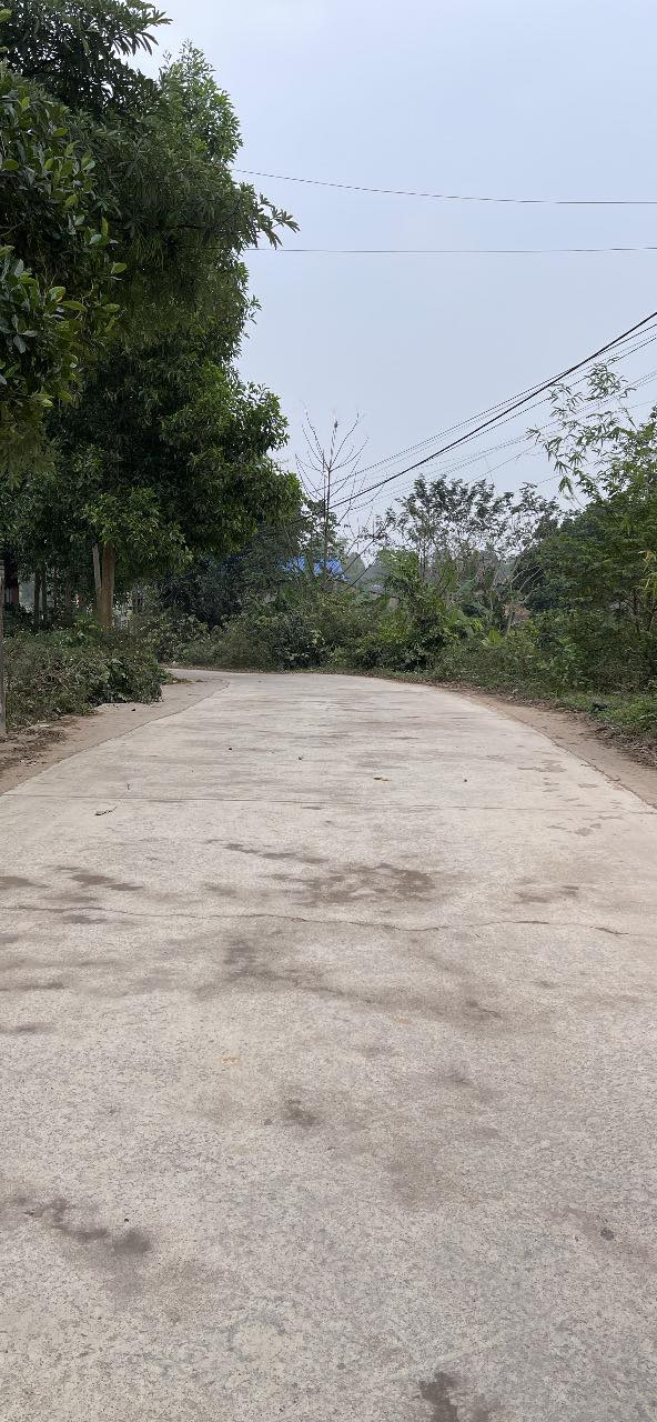 Đất nền Phúc Tân Phổ Yên 2.5ha – Sổ đỏ chính chủ, tiềm năng lớn!