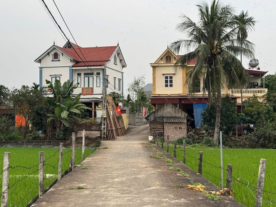 Đất nền Ba Vì 115m² - Sổ đỏ chính chủ, ô tô tránh