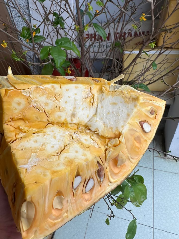 Đất nền Cái Răng 55m² 160 triệu - Sổ hồng chính chủ, công chứng ngay!