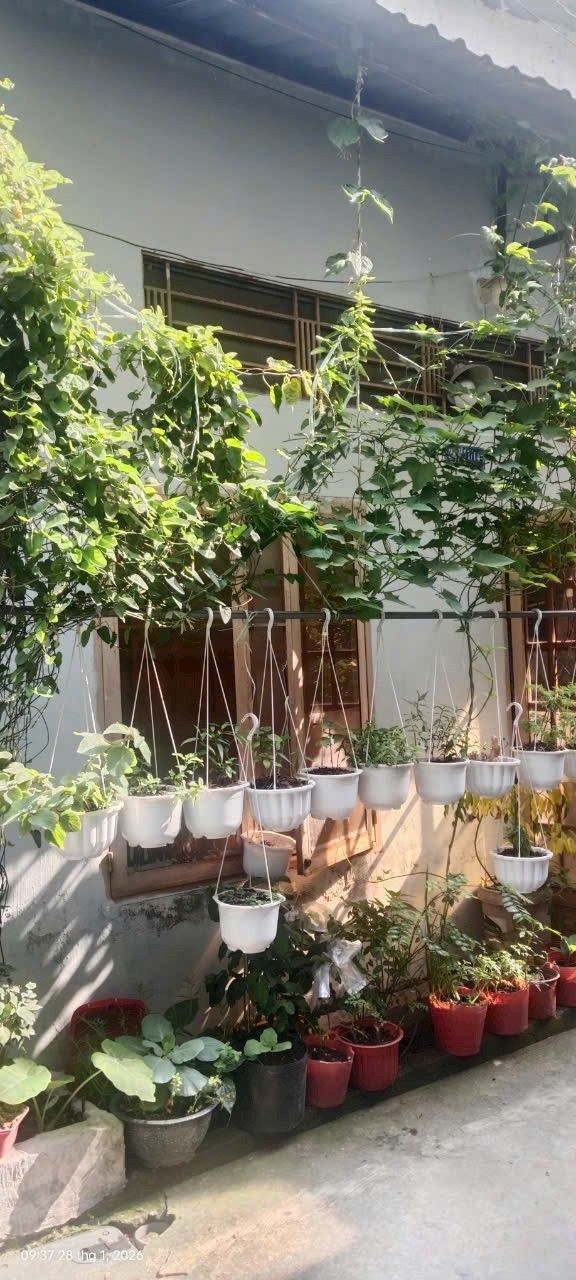 Nhà cấp 4 An Khánh, Ninh Kiều 46m² - Chính chủ bán giá tốt!