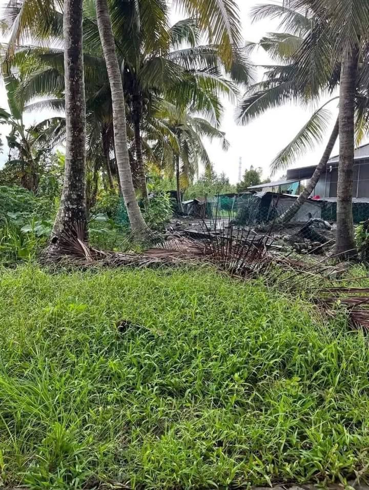 Đất Nền Phong Điền 375m² 550 triệu - Sổ đỏ chính chủ!