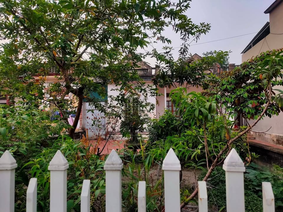 Nhà riêng Thôn Đức Thành, Quảng Xương - Sẵn sàng ở ngay, giá tốt!