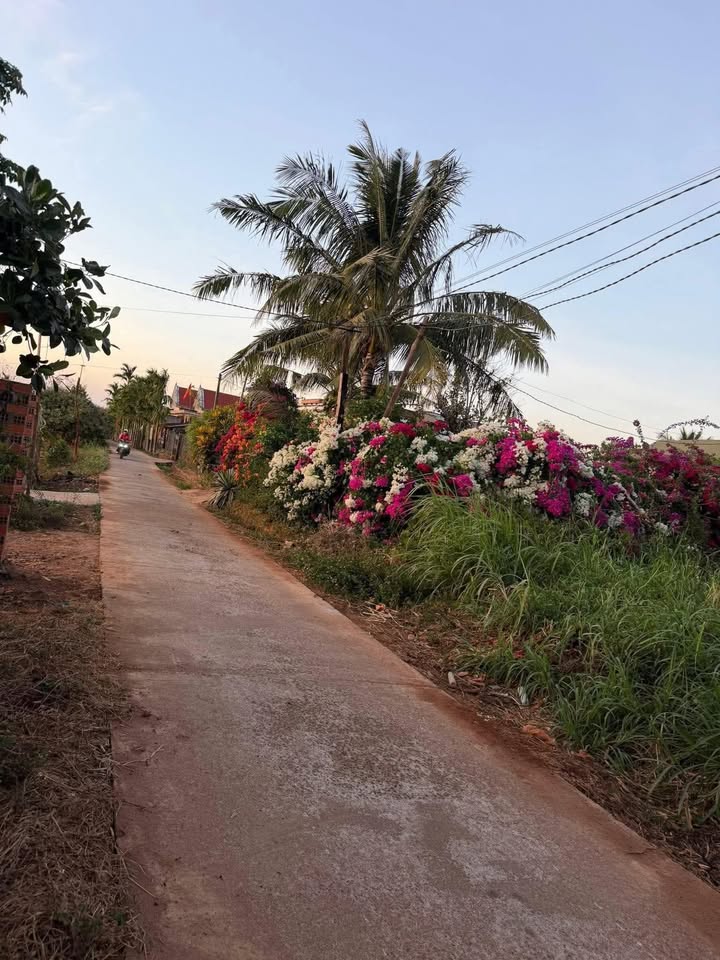 Đất nền Cư M'gar 710m² - Tiềm năng tăng giá vượt trội!