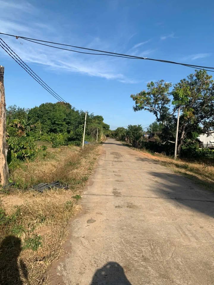 Đất nền Tân Hoà Buôn Đôn 3.6ha - Tiềm năng tăng giá vượt trội