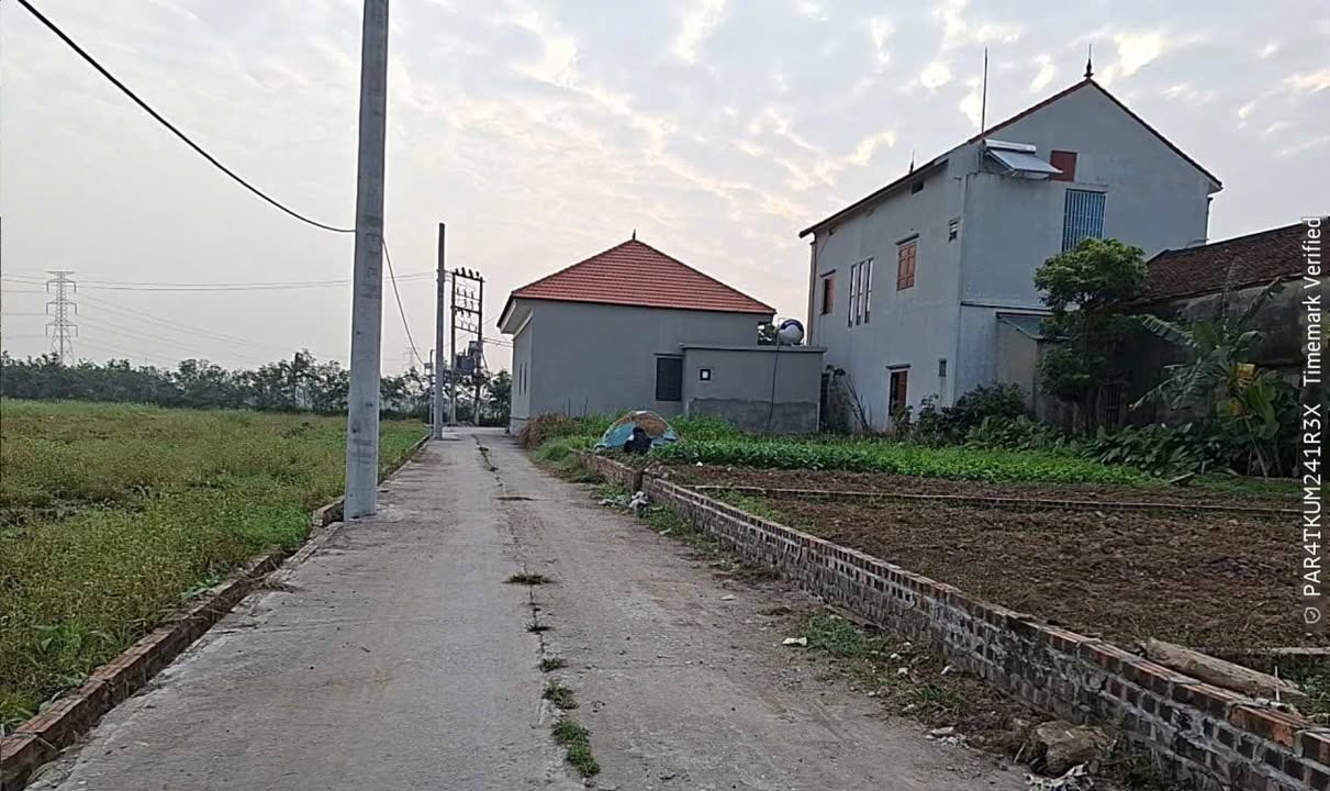 Đất nền Lương Tài, Bắc Ninh 90m² - Sổ Hồng Sẵn, Giá 1 Tỷ - Đầu tư sinh lời