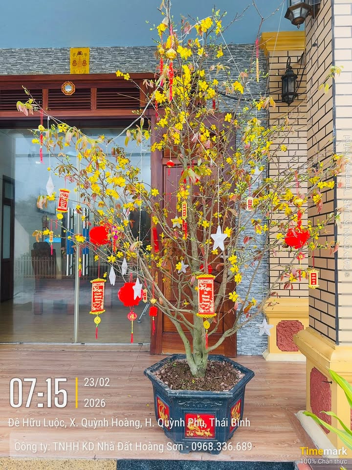 Đất nền KDC Đồng Quỳnh Hải An 120m² - Giá tốt hiếm có!