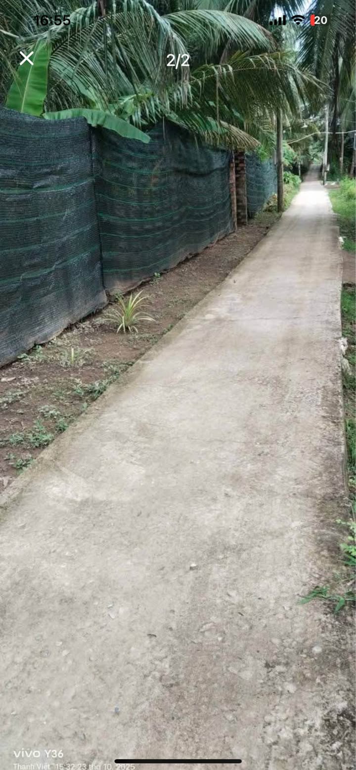 Đất nền Mỏ Cày Nam 680m² giá 750 triệu - Tiềm năng tăng giá cao!