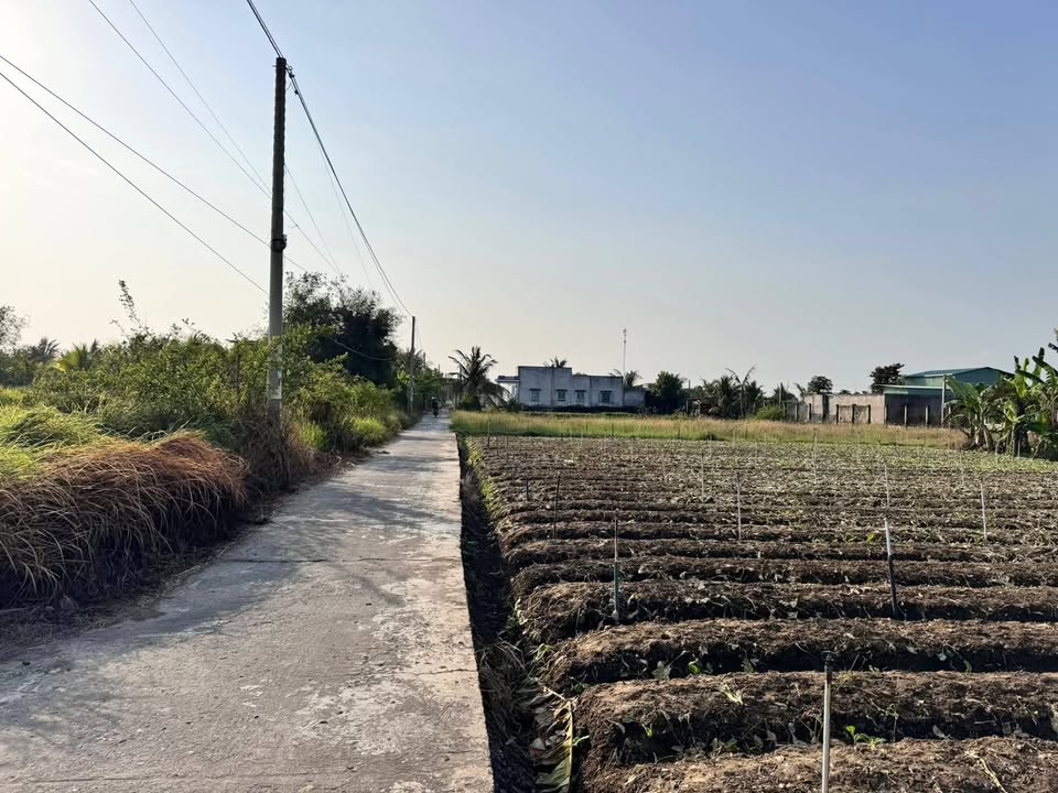 Đất nền Gò Công 250m² giá 750 triệu - Sổ hồng sẵn, đường ô tô!