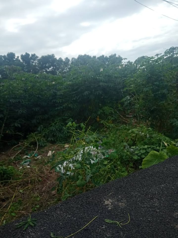 Đất nền Xã Tân Hòa, Phú Mỹ 4000m² - Sổ đỏ chính chủ!