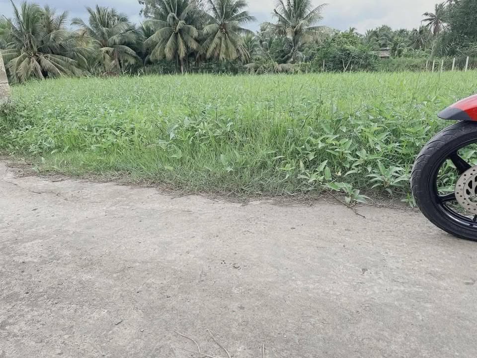 Đất nền Gò Công Tây 323m² giá 580 triệu - Sổ đỏ chính chủ!