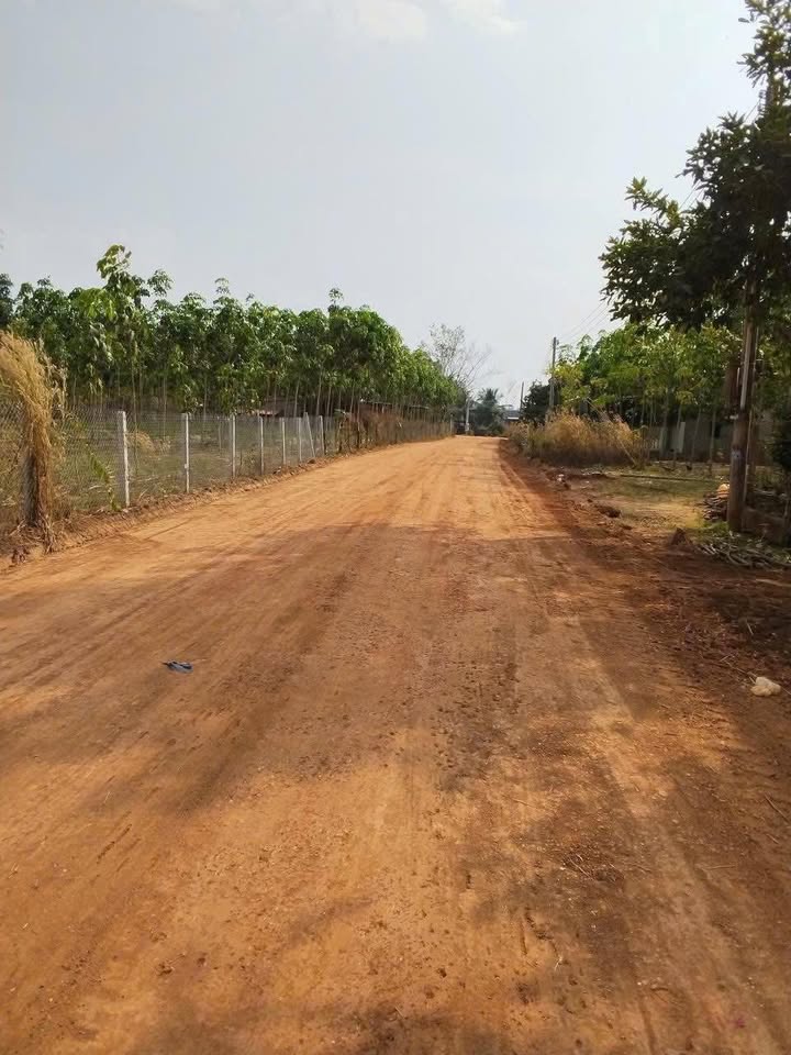 Đất nền Minh Thạnh, Dầu Tiếng chỉ từ 300 triệu/nền - Tiềm năng tăng giá!