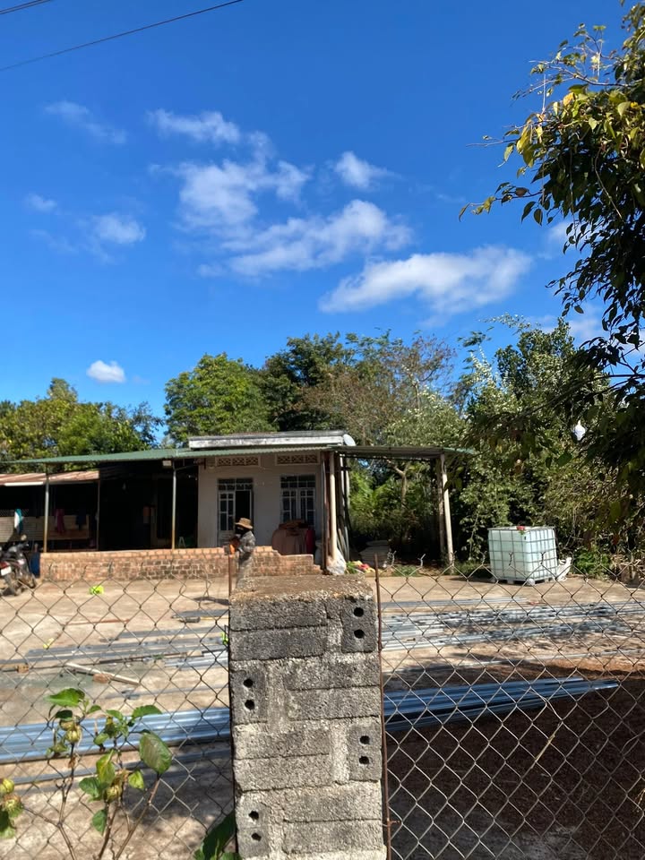 Đất Nền Hẻm Đào Duy Từ Quy Nhơn Chỉ Từ 8xx Triệu Sổ Đỏ Chính Chủ