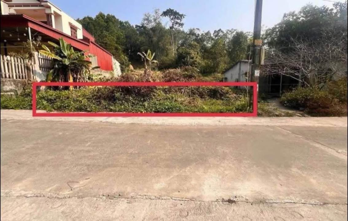 Đất nền Đại Từ 2363m² sổ đỏ - Xây nhà vườn, nghỉ dưỡng lý tưởng