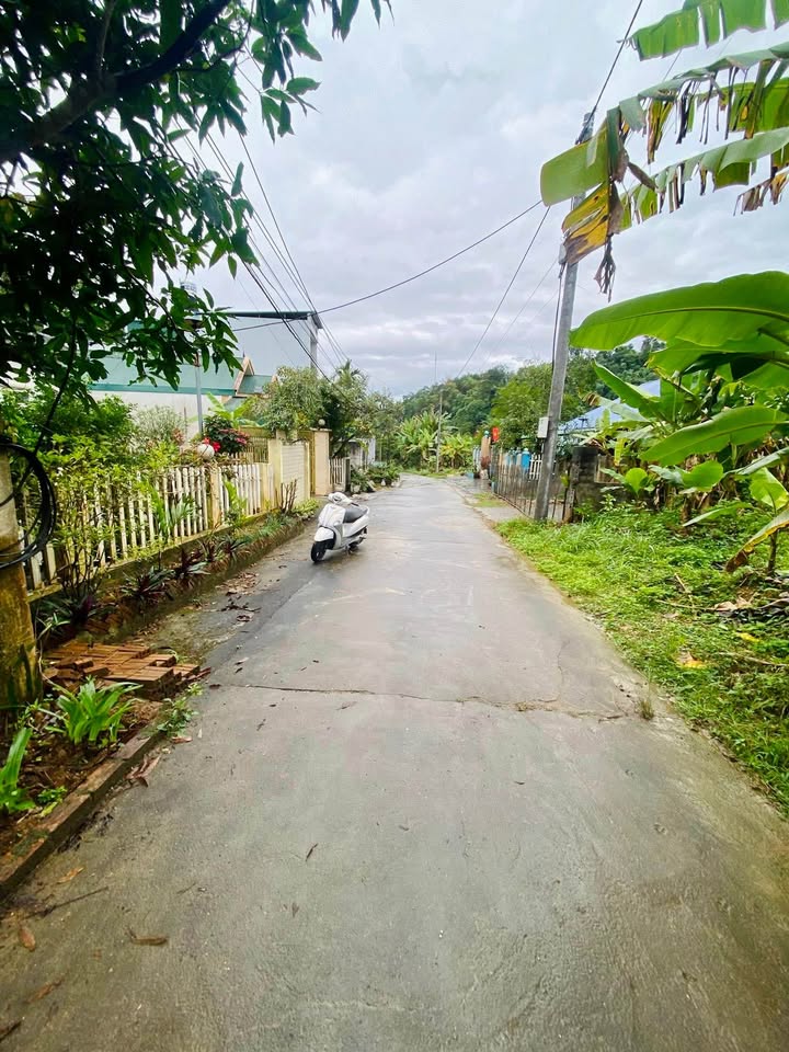 Đất nền Phường Nguyễn Trãi, Hà Giang 80m² - Đường to ô tô