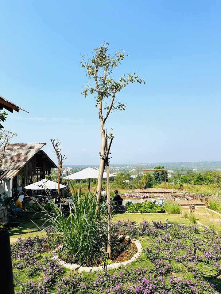 Đất Xã Biển Hồ 190m² Hướng Tây - Sổ Đỏ Sẵn Sàng