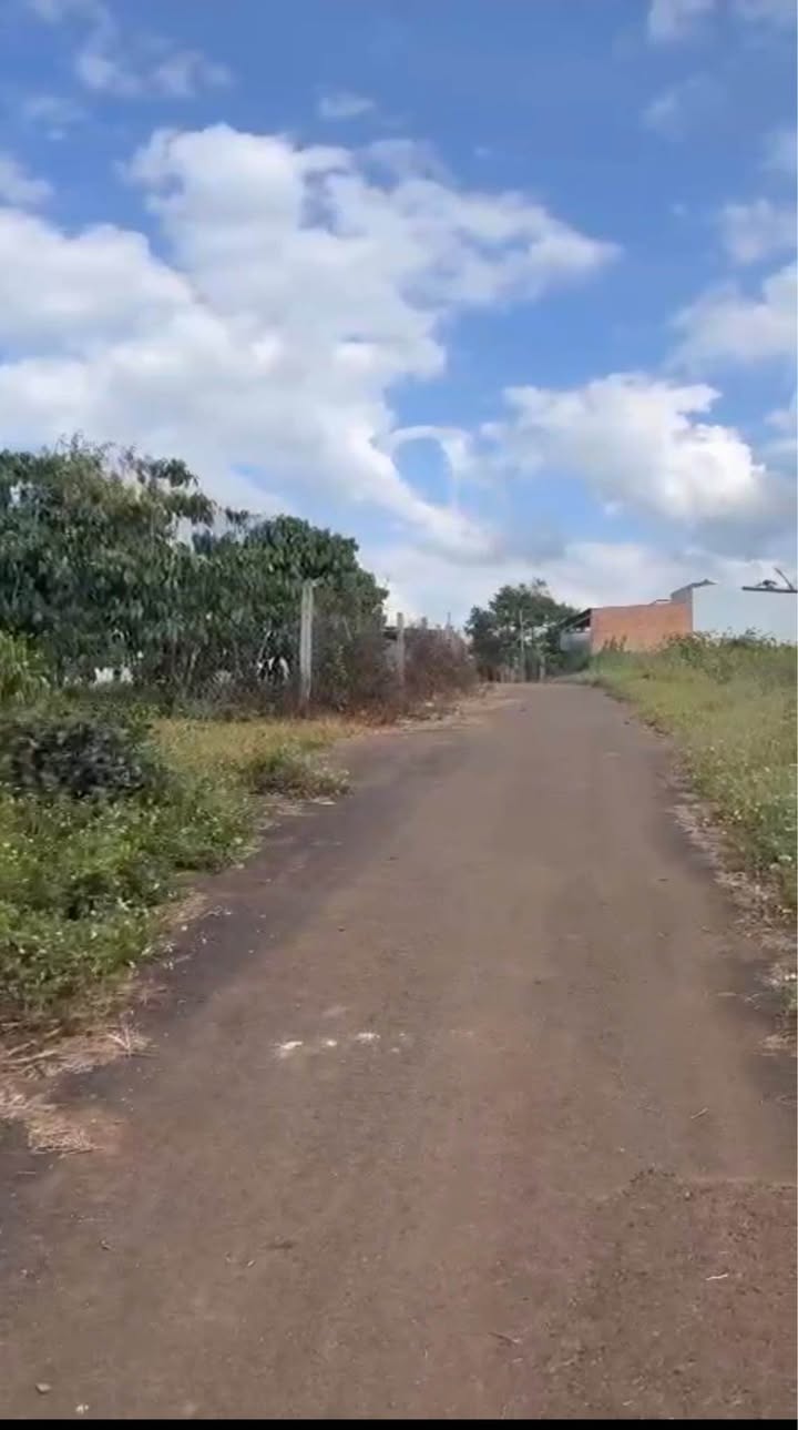 Đất Nền Thổ Cư 222m² Lộc Ngãi, Bảo Lâm - Sổ Đỏ Sẵn Sàng