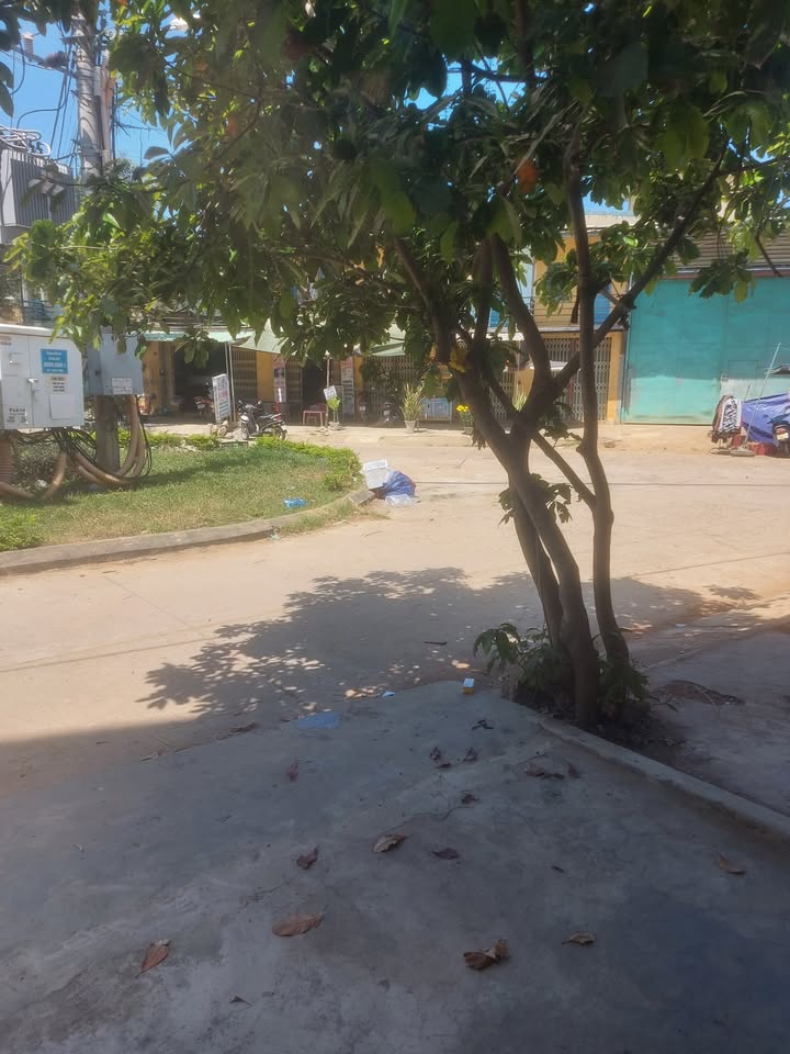 Thuê nhà mặt tiền Huỳnh Văn Thống 100m² giá 6 triệu - Kinh doanh ngay!