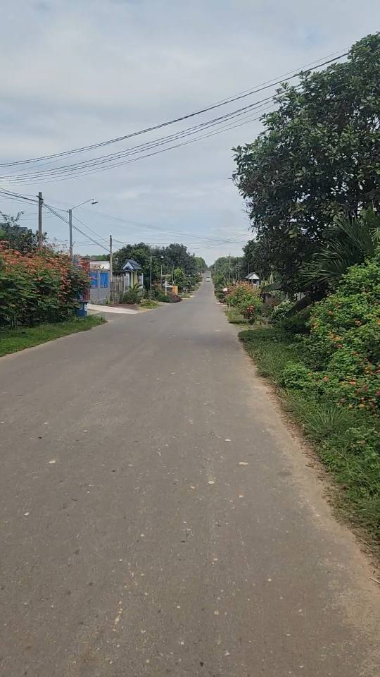 Bán Đất Vườn 1.4ha Định Quán - Sẵn Sàng Trồng Cây Ăn Trái