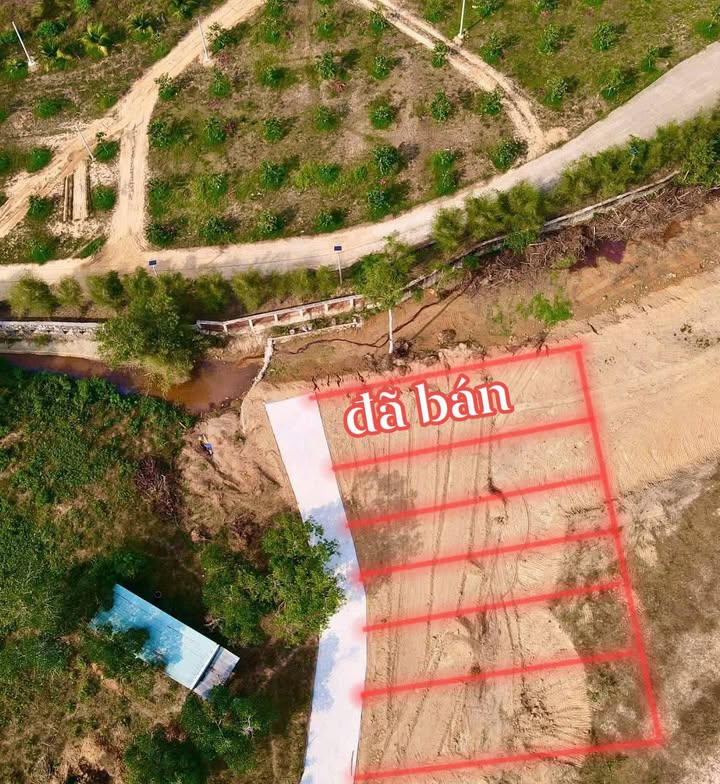 Đất thổ cư Đường Cây Thông Phú Quốc 180m² - Sổ đỏ chính chủ