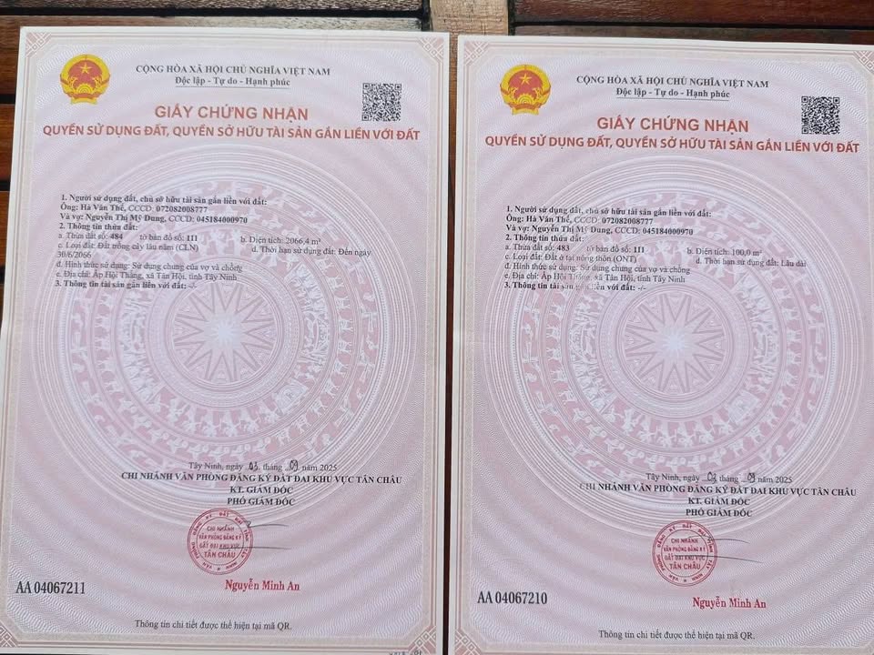 Đất nền Tân Châu, Tây Ninh 2000m² - Sổ đỏ chính chủ, bán gấp!