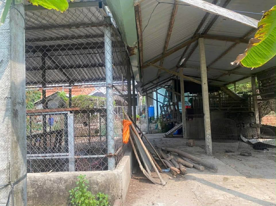 Bán Nhà Mặt Tiền Củ Chi 2086m² - Sẵn Sàng Ở, Kinh Doanh, Đầu Tư