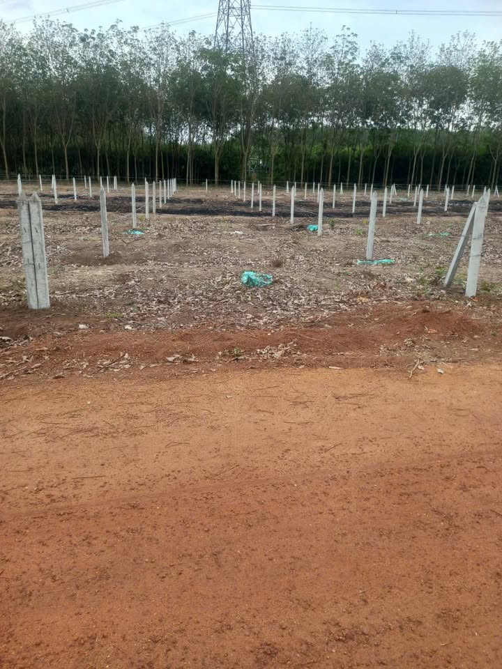 Đất nền An Điền Bến Cát 210m² giá 1 tỷ - Sổ đỏ chính chủ