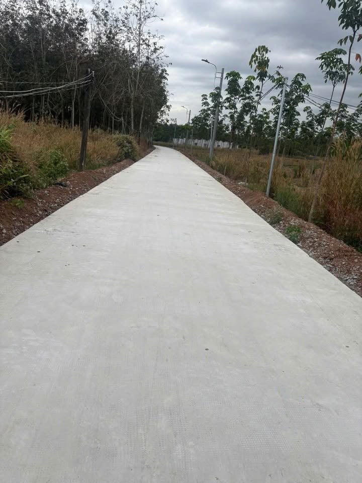 Đất Nền Thị Trấn Lai Uyên 546m² - Sổ Sẵn, Đối Diện Chợ, Giá 1 Tỷ