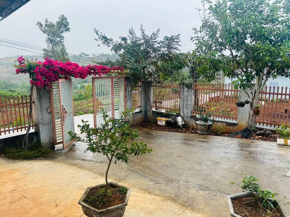 Nhà Riêng Trần Phú Gia Nghĩa 525m² - Ô tô vào tận nhà, Sổ sẵn!