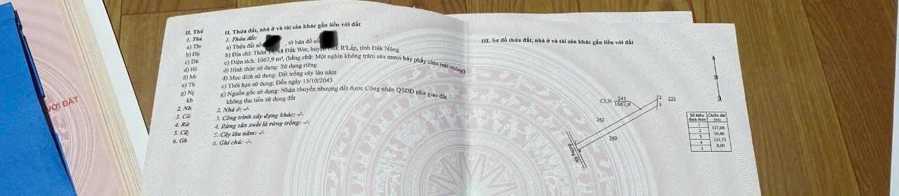 Bán Đất 1000m² Mặt Đường Bê Tông Đắk Wer, Đắk Nông - Sổ Đỏ Sẵn Sàng