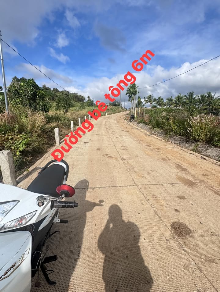 Đất nền Đắk Gằn Đắk Mil 300m² - Tiềm năng tăng giá vượt trội!