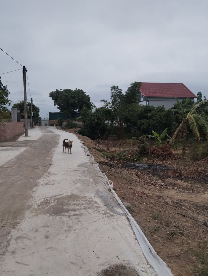 Đất nền Đông Triều - Sổ đỏ 130-170m² - Giá chỉ từ 3.3 tỷ