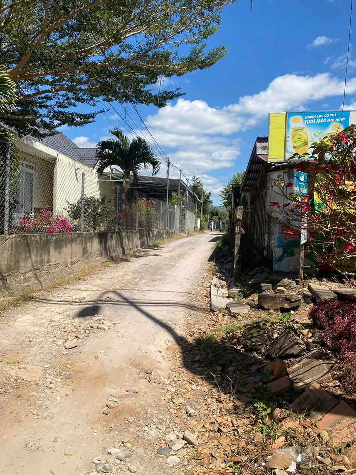 Nhà cấp 4 An Bình Đức Trọng 236m² - Ô tô vào tận nhà!